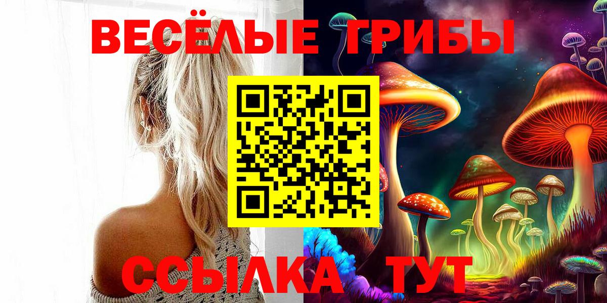 Псилоцибиновые грибы ЛСД Кубинка