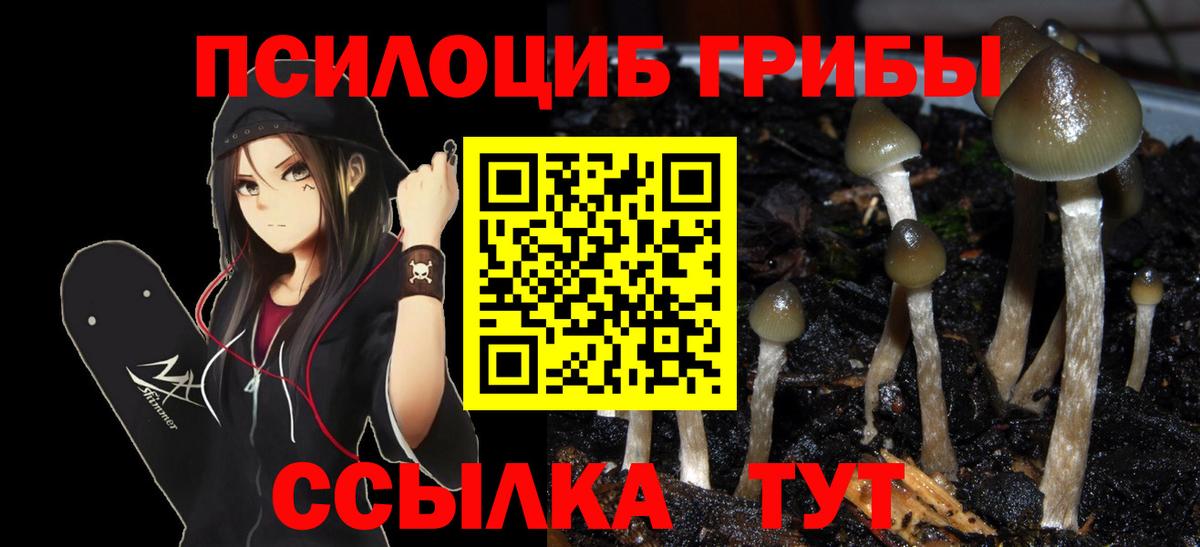 как найти наркотики  Галлюциногенные грибы MAGIC MUSHROOMS  Галлюциногенные грибы Cubensis  Вход с VPN  Кубинка 