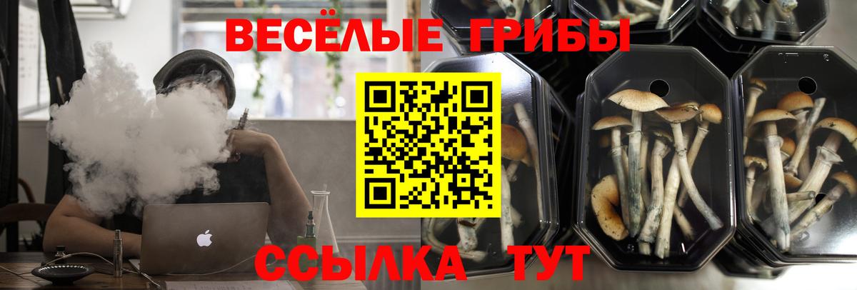 COCAIN Кубинка